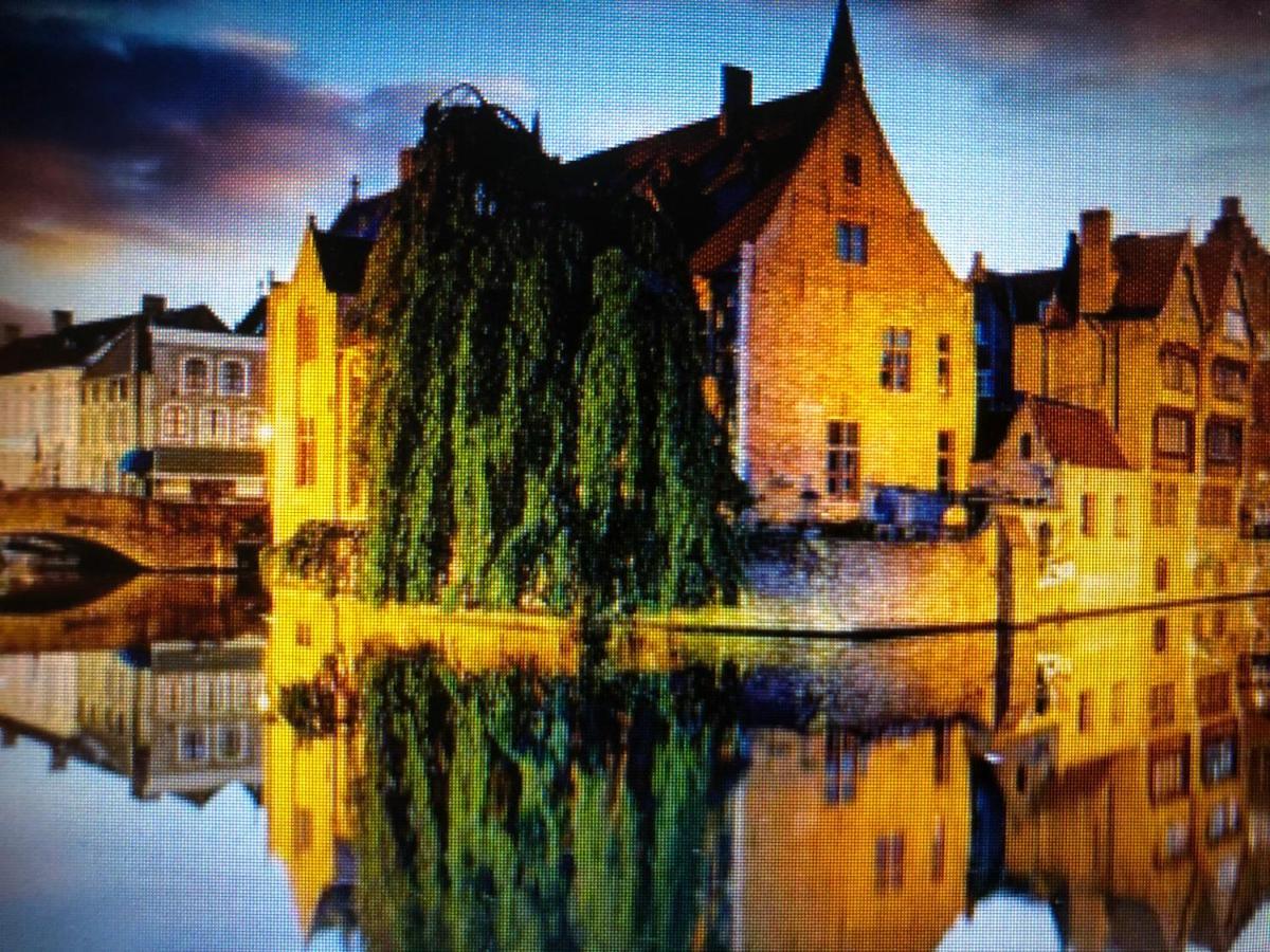 The 5 3* Bruges
