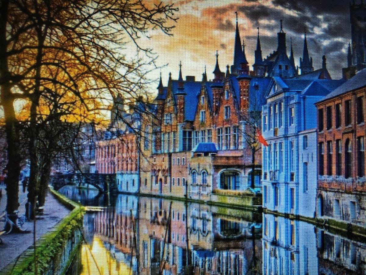 The 5 Bruges